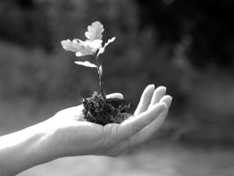 gwarancja środowiskowa - ilustracja